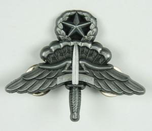 Military Master  FreeFall Parachutist ( jumpmaster) badge