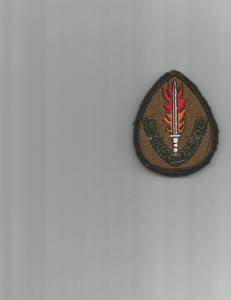 SF pocket badge