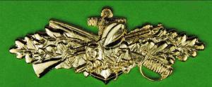 Navy engineers SEABEES  officier badge