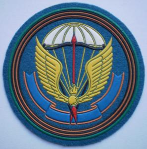 31st Airborne brigade(  new type)