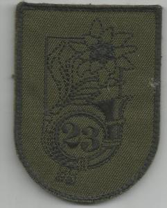 23rd Mountain infantry battalion