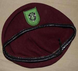 10th Special forces group support  detachment  ( Airborne) beret