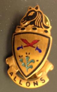 11th Armor Cavalry regiment