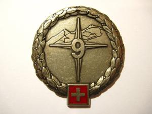 Беретний знак 9-а гірськострілецька бригада