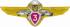 Qualification Badge "Specialist 3-rd Class" of Ground Force of the Armed Forces of Ukraine