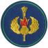 Нарукавный знак Командование Воздушно-десантными войсками (ВДВ) Вооруженных Сил России