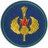 Patch of Command Airborne Troops (VDV), Russian Armed Forces