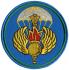 Нарукавный знак Командование Воздушно-десантными войсками (ВДВ) Вооруженных Сил России