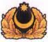 Cap Badge of Land Forces of the Armed Forces of Azerbaijan