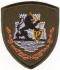 Patch Engineering Battalion Estonia