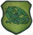 Patch Training Center Combat Support Armed Force Estonia