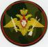 Нарукавный знак Ракетных войск стратегического назначения ВС России