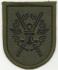 Training and Doctrine Command (TRADOC) Patch. LITHUANIA