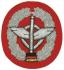 Bundeswehr Embroidered Beret Insignia "Reinforcements Troops". Germany Federal Defence Force