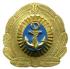 Badge of the Naval Forces of Ukraine. 1993