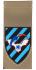 Air Force Shoulder Tag IDF