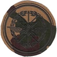 Subdued Patch of Communication Troops Armed Forces of the Republic of Uzbekistan