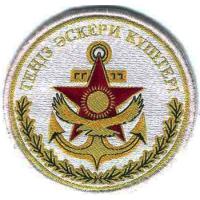 Patch of Naval Forces of the Republic of Kazakhstan