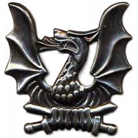 Badge Dragoon Training Battalion of Lithuanian Grand Duke Butigeydisa. Armed Forces Lithuania