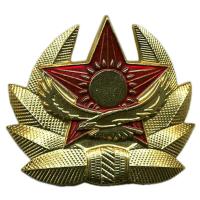 Soldiers Cap Badge of the Armed Forces of the Republic of Kazakhstan