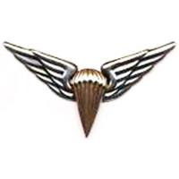 Breast Badge classes parachutist 1st degree Armed Forces Lithuania