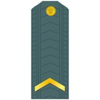 Senior soldiers of the Armed Forces of Ukraine
