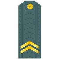 Junior Sergeant of the Armed Forces of Ukraine