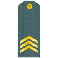 Sergeant of the Armed Forces of Ukraine