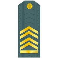 Master Sergeant of the Armed Forces of Ukraine