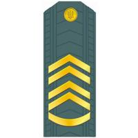 Warrant Officer of the Armed Forces of Ukraine