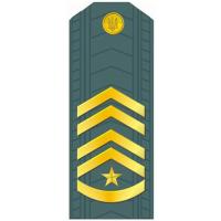 Senior Warrant Officer of the Armed Forces of Ukraine