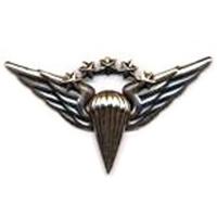 Знак классности парашютиста 5 степени