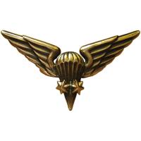 Знак классности парашютиста 3 степени