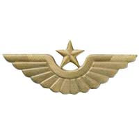 Cockarde a crown of a peak-cap Air Force of Kazakhstan