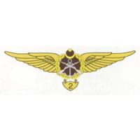 Qualifying Breast Badge of the Ground Force Armed Forces of Azerbaijan