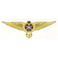 Qualifying Breast Badge of the Ground Force Armed Forces of Azerbaijan