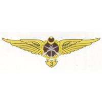 Qualifying Breast Badge of the Ground Force Armed Forces of Azerbaijan