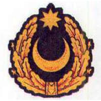 Cap Badge of Land Forces of the Armed Forces of Azerbaijan