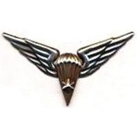 Breast qualifying Badge of 2 degrees skydiver (20 jumps) of the Armed Forces of Lithuania