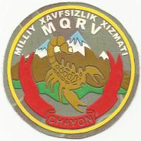 Patch of Special recon platoon" SCORPION"