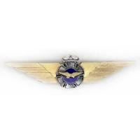 Pilot Gold Badge of Air Force. Finland