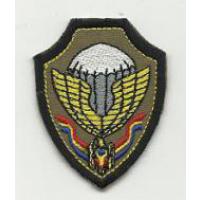 Special Forces "Thunder" battalion beret badge. MOLDOVA
