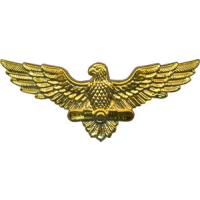 The emblem on the crown cap, air force, airborne forces of Ukraine. Model 2003 # 2