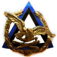 Estonian Air Force Cap Badge
