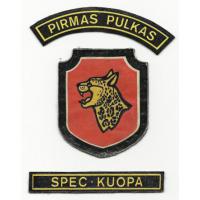 Special Purpose company of 1st Regiment