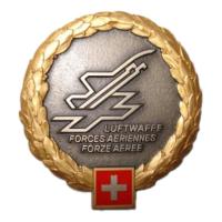 Air Force Beret Badge. Switzerland Armed Forces