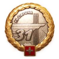 31st Training Unit Air Force Beret Badge. Armed Forces of Switzerland