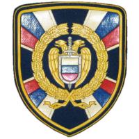 Нарукавный знак Директора Федеральной службы охраны России