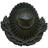 Subdued Badge of the Armed Forces of the Republic of Belarus