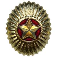 Belarussian Army Badge